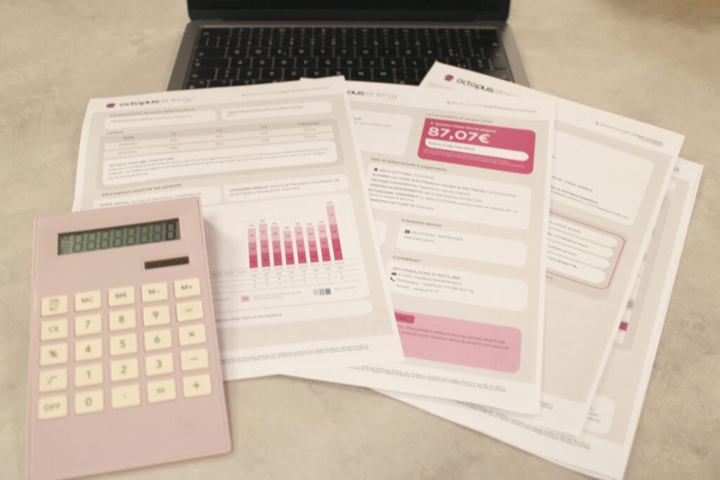 Freelancer using a budgeting app on laptop, representing tools built for irregular income