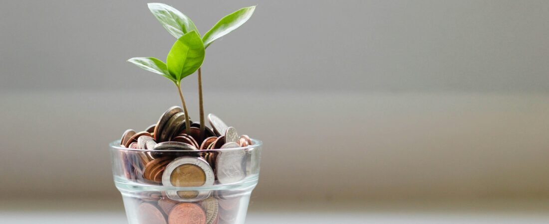Crypto IRAs vs. Regular Roth IRAs — Is the Extra Fee Ever Worth It?